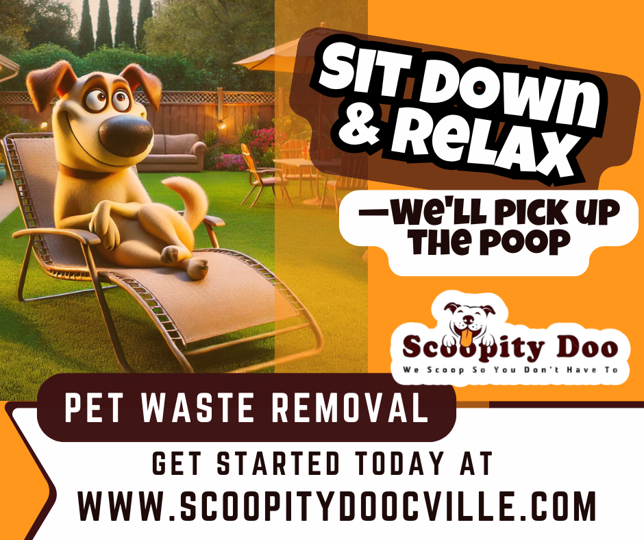 Scoopity Doo Cville - Photo 2