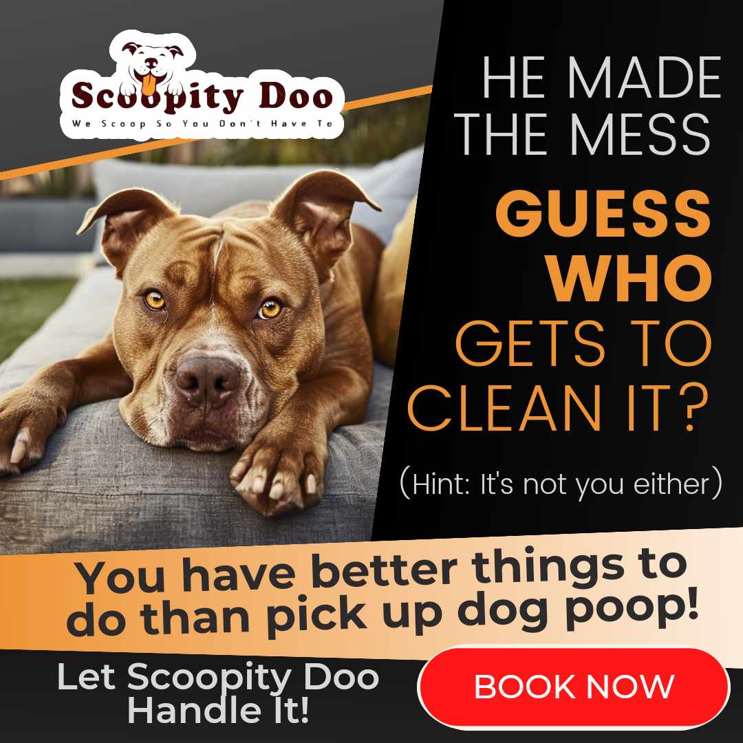 Scoopity Doo Cville - Photo 3