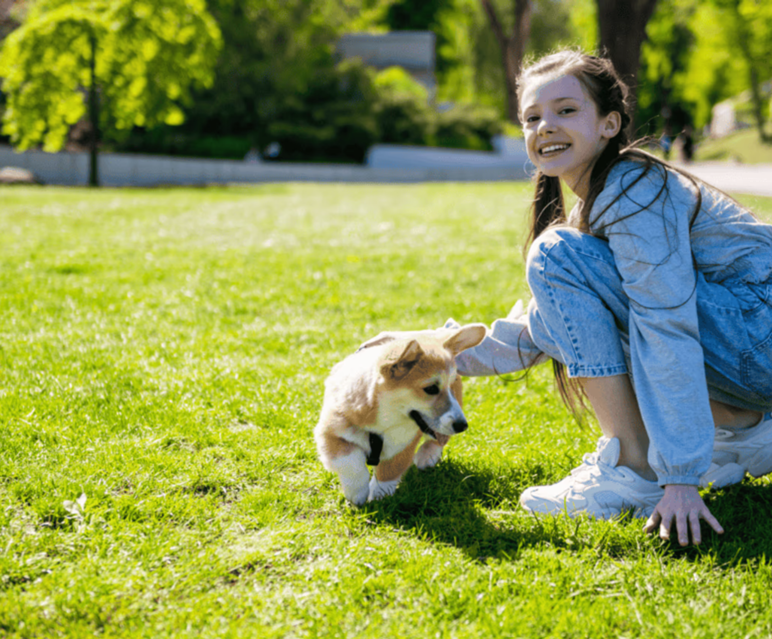 Poo-Fessional Cleanups and Pet Waste Removal