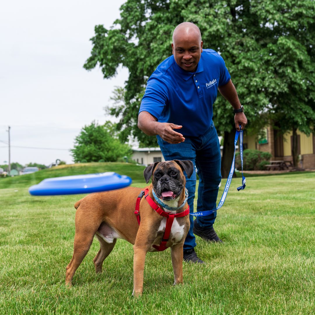 Pet Butler - Photo 2