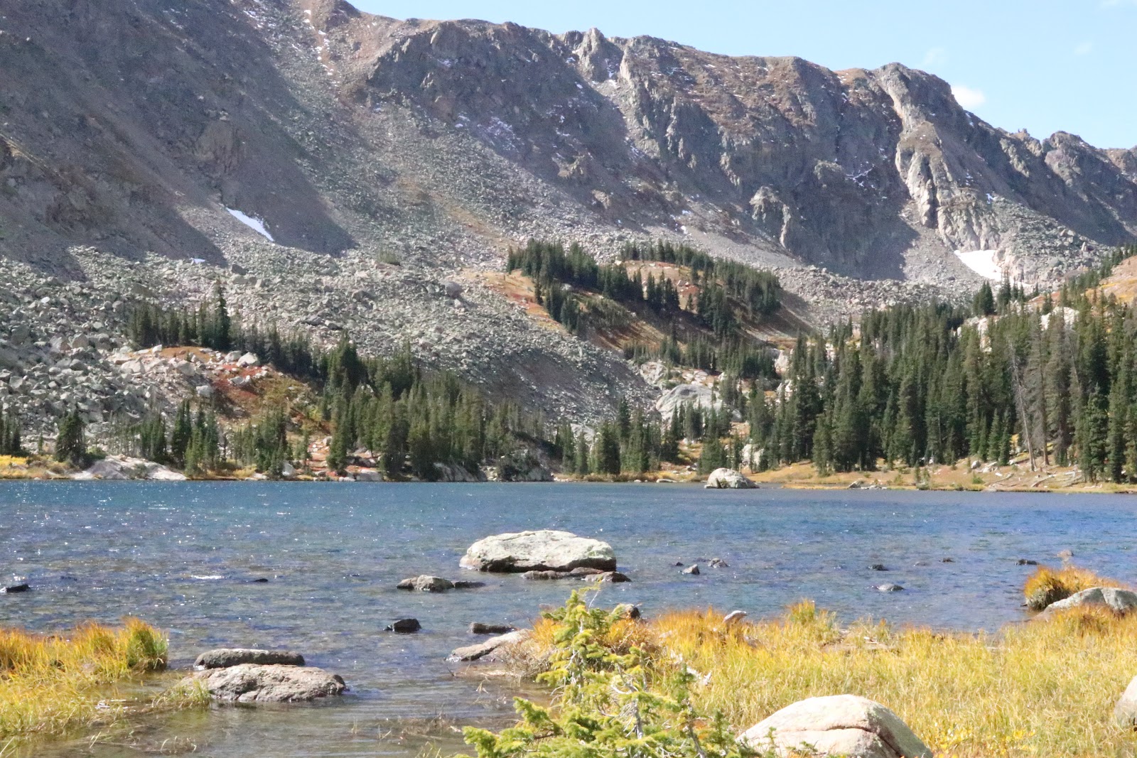 Scoop Doggz LLC - Photo 3