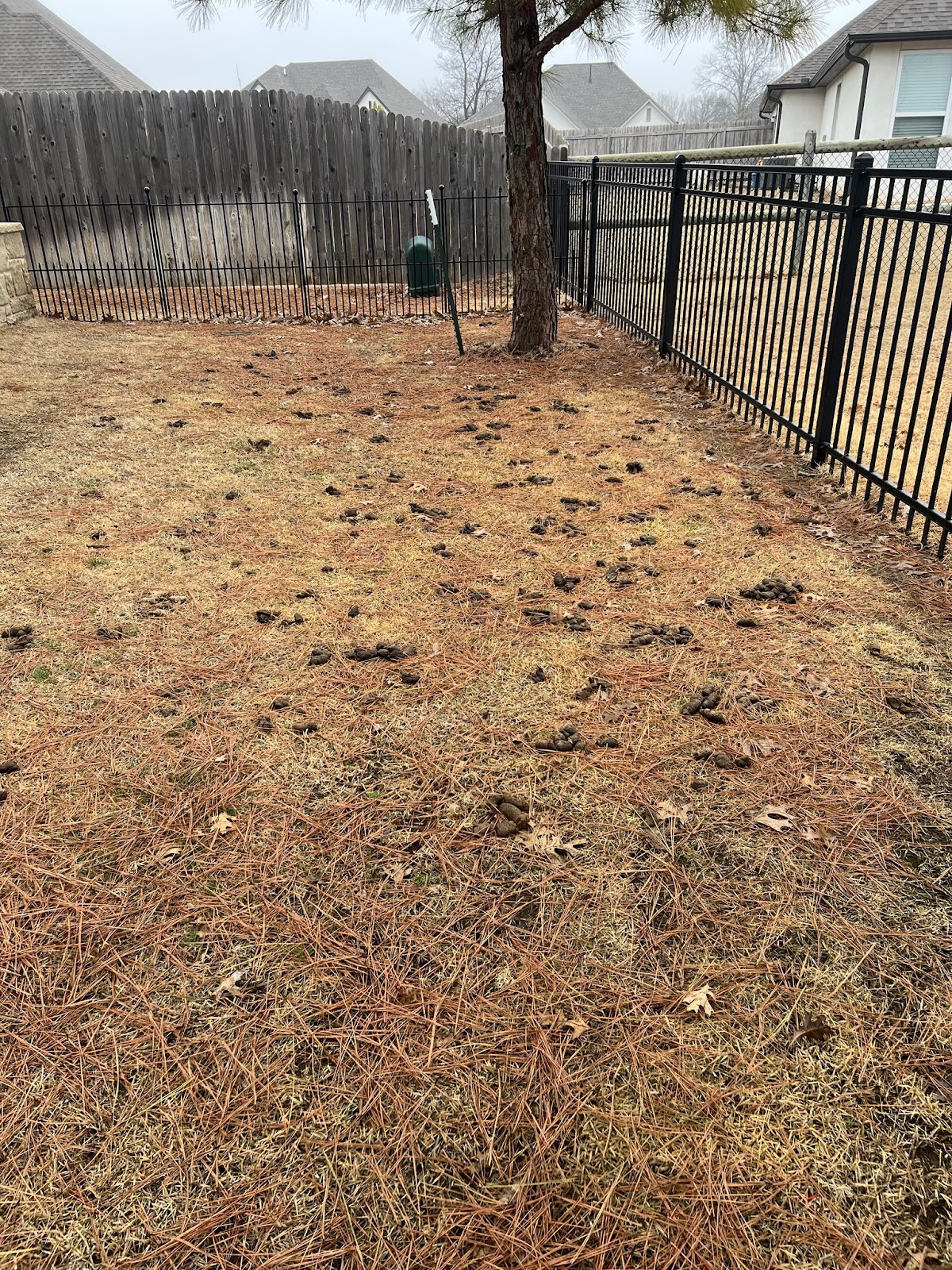 Happy Poop Scoop - Photo 3