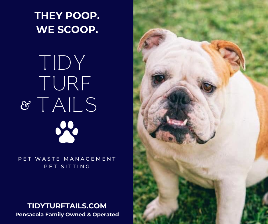 Tidy Turf & Tails, LLC