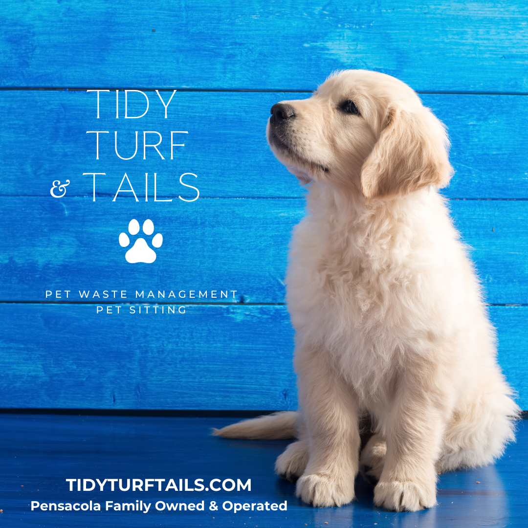 Tidy Turf & Tails, LLC - Photo 2