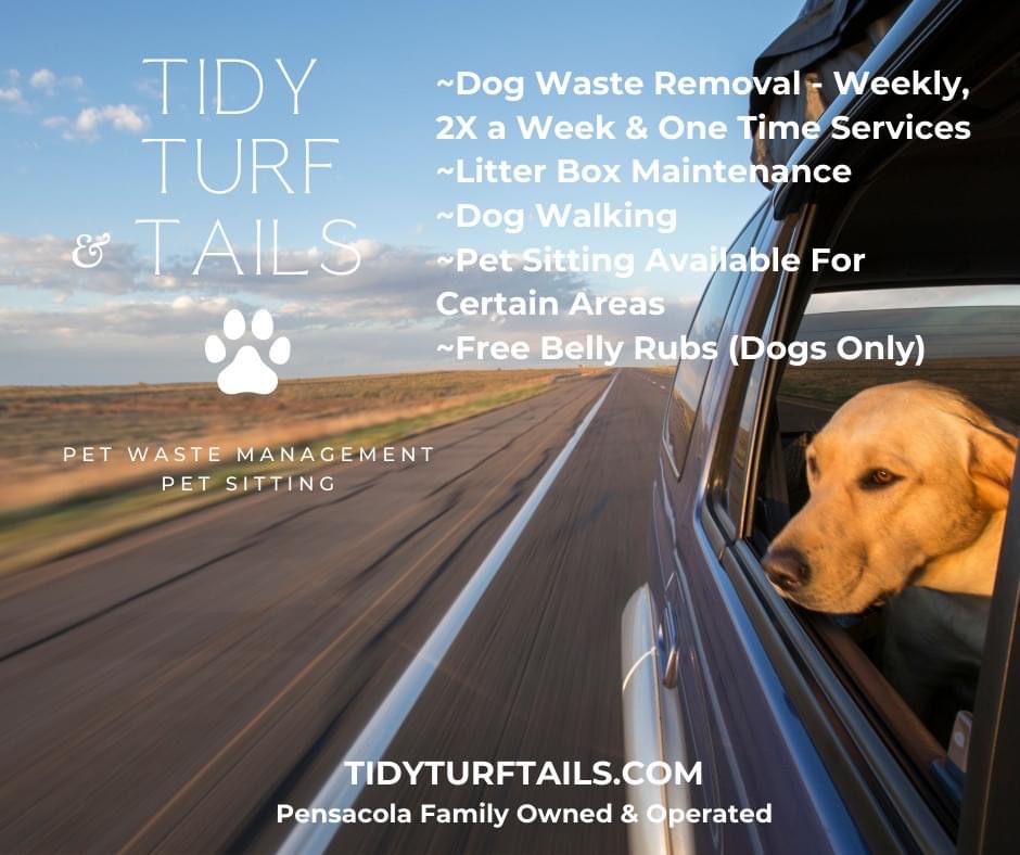 Tidy Turf & Tails, LLC - Photo 3