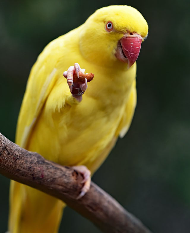 Shidder Gidders - Photo 3