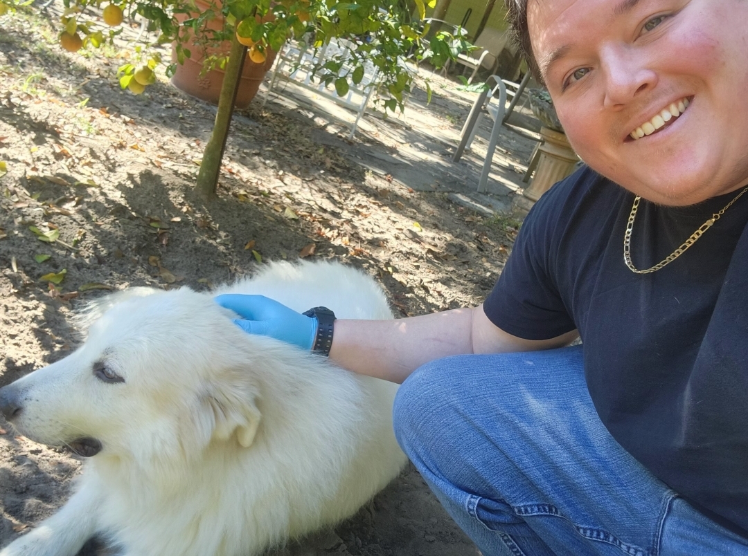 Coopers Pooper Scooper - Photo 3