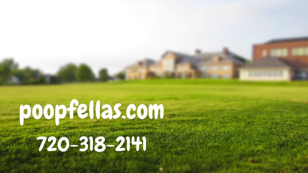 Poopfellas Pet Waste Removal