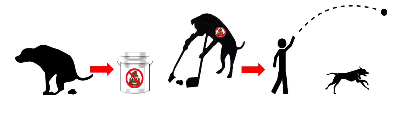 Pet Poo Removal - Photo 2