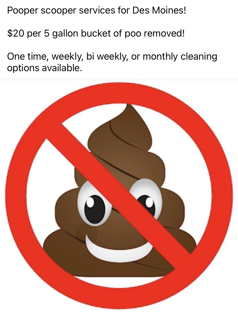 Pet Poo Removal - Photo 3