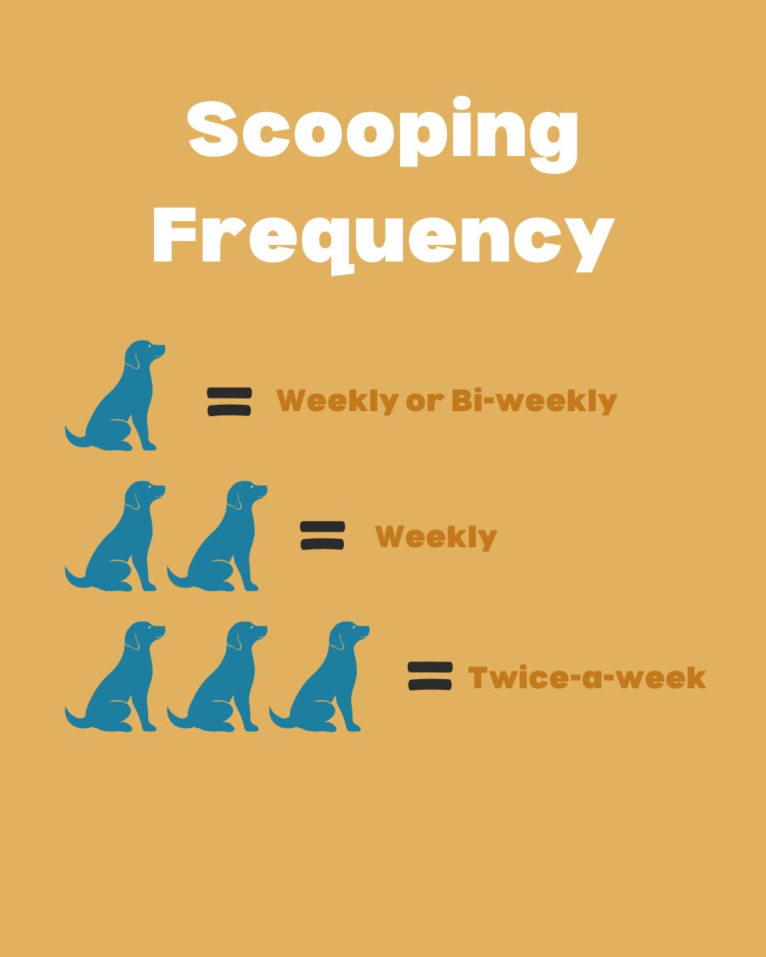 Super Scoop - Photo 4