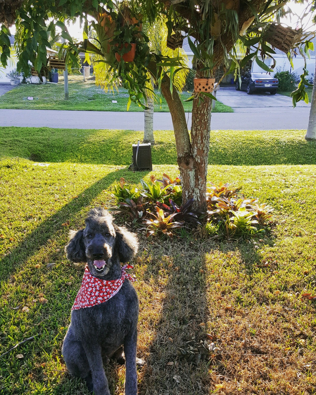 Scoops of SWFL, Inc. - Photo 3