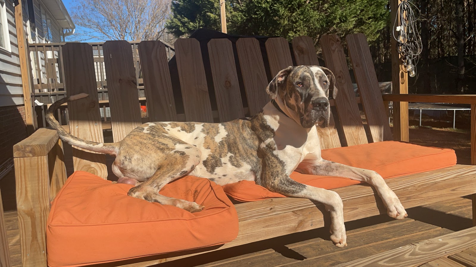 Magic Scoop - Photo 3