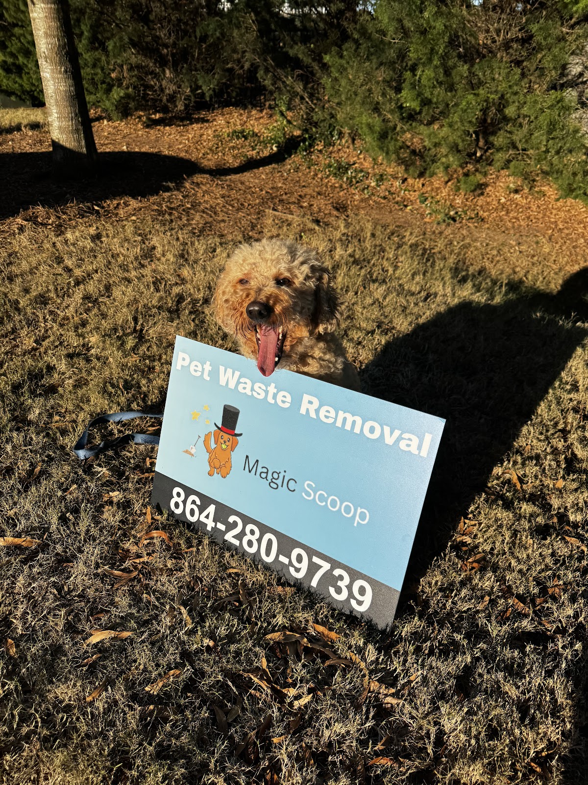 Magic Scoop - Photo 4