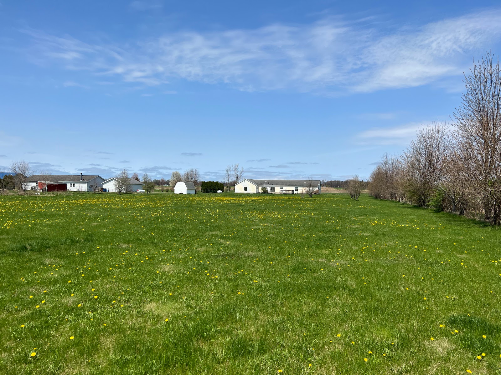 Rich's Pooper Scoopin' Service, LLC - Photo 2