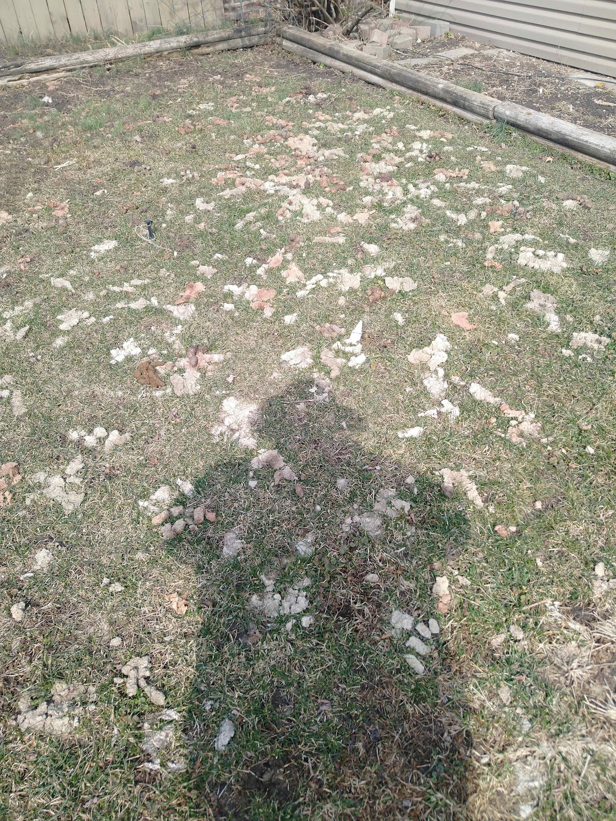 Guardians of Poop - Photo 3