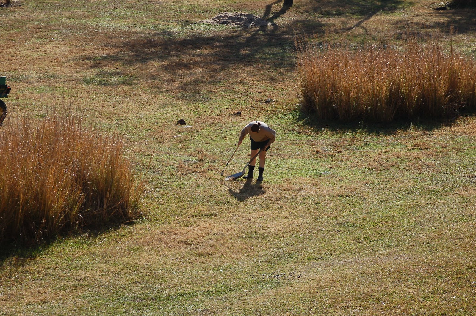 The Scoop Fairy - Photo 4