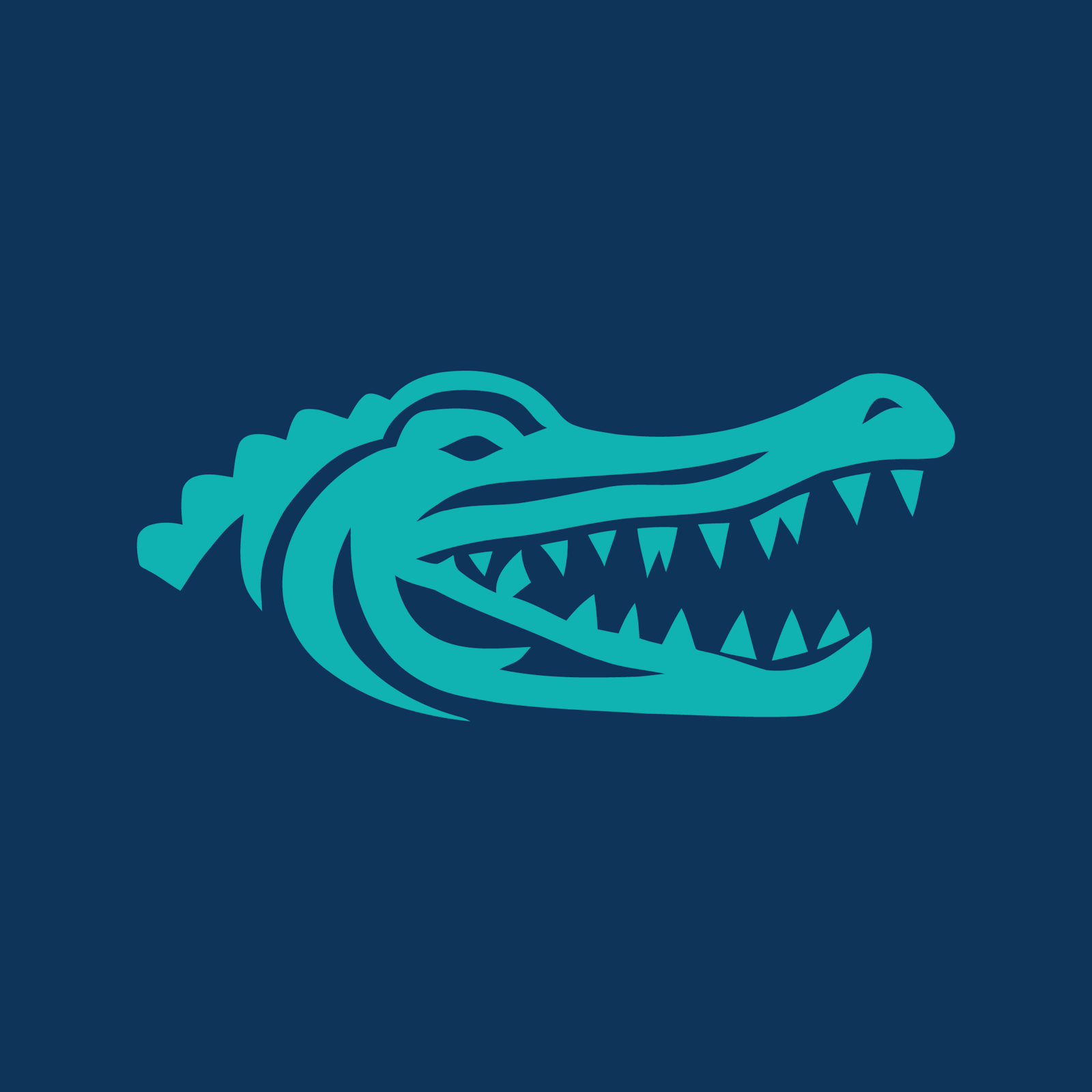 Scoop Gator- Columbia - Photo 2