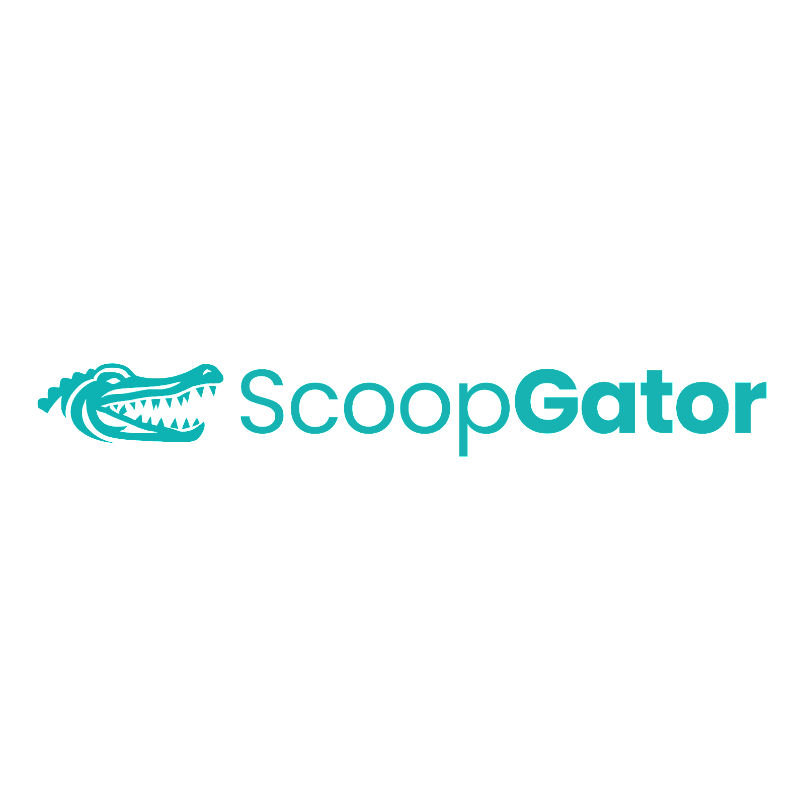 Scoop Gator- Columbia - Photo 3