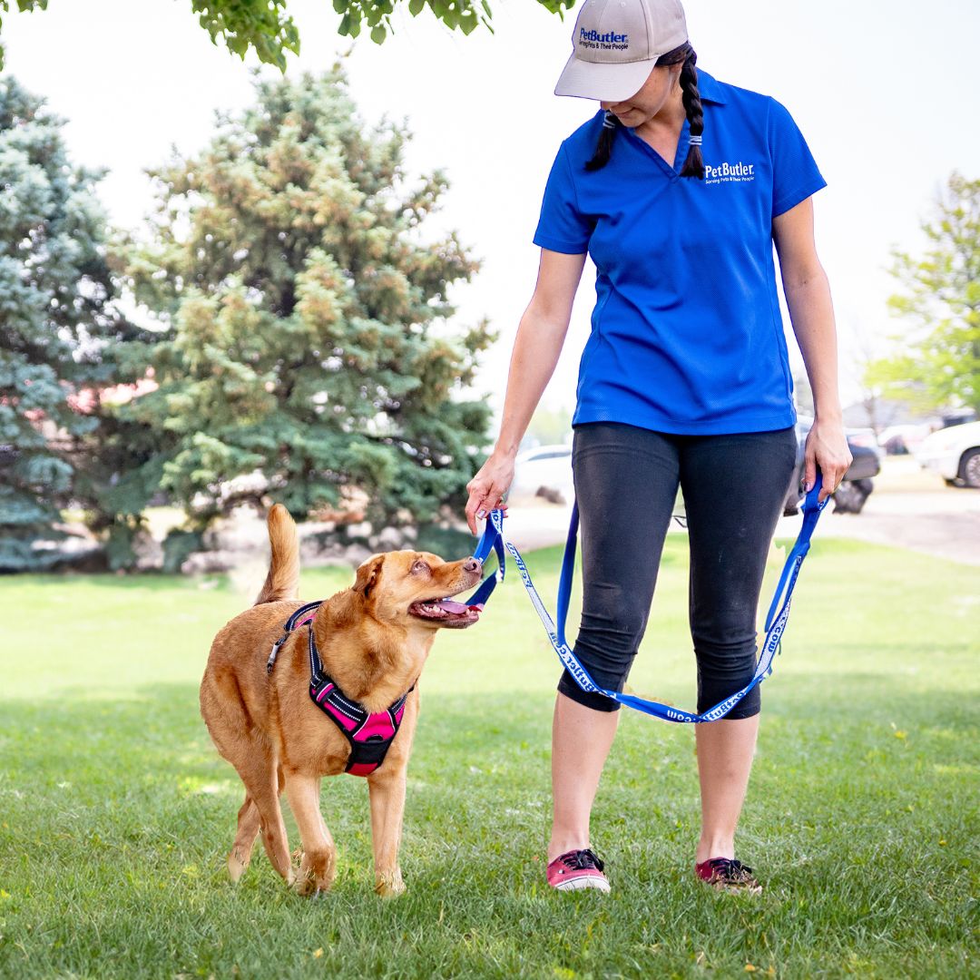 Pet Butler - Photo 2