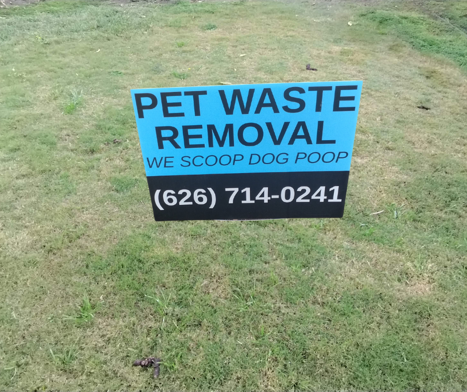 They Pooping We Scooping - Photo 2