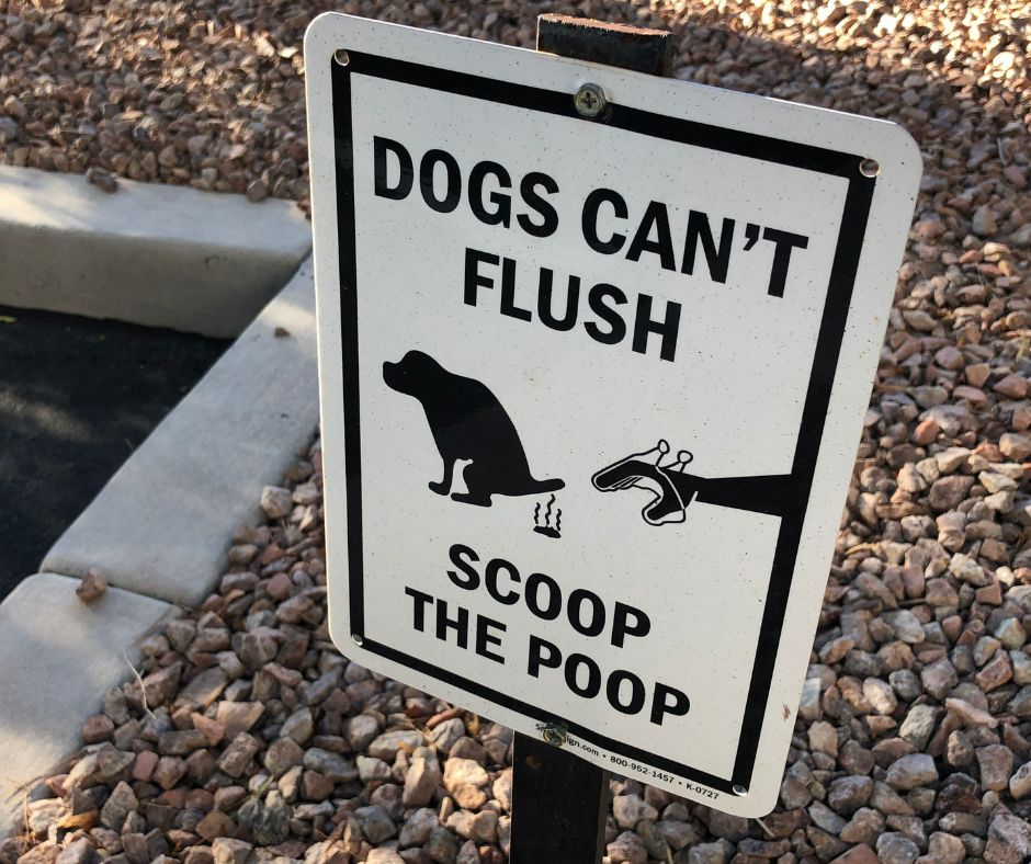 They Pooping We Scooping - Photo 3