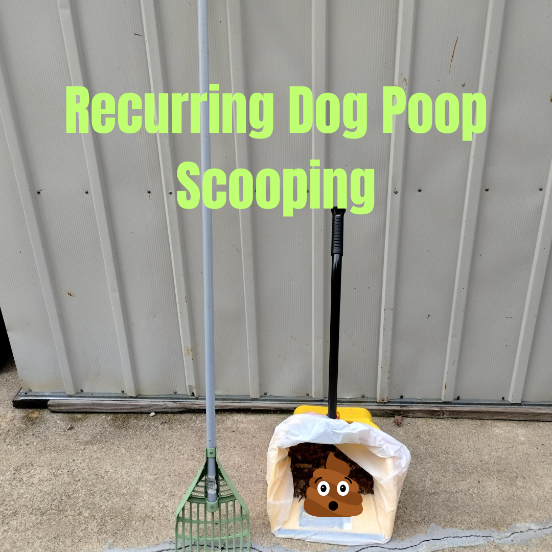 They Pooping We Scooping - Photo 4