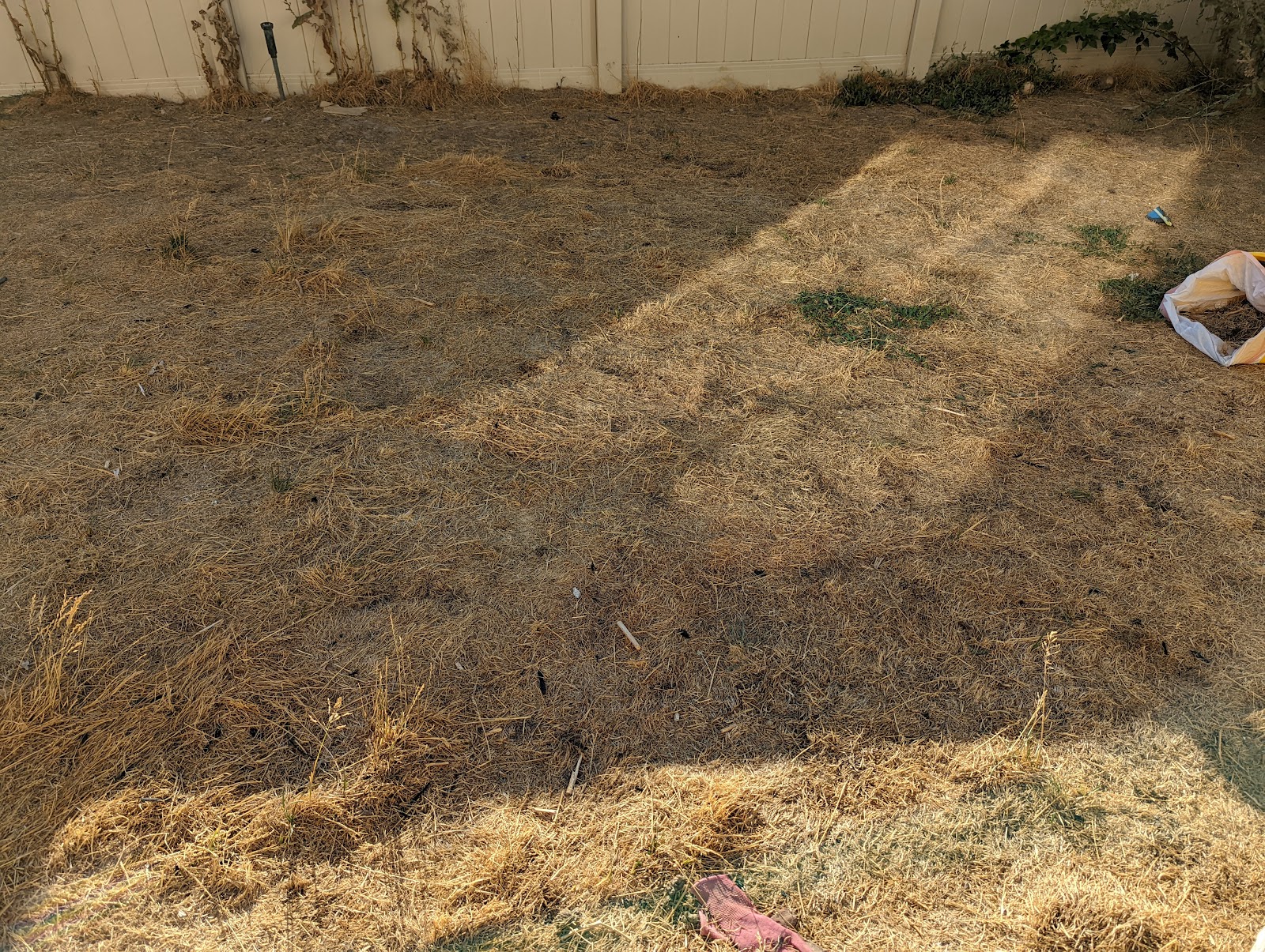 Scoopie Poopies - Photo 2