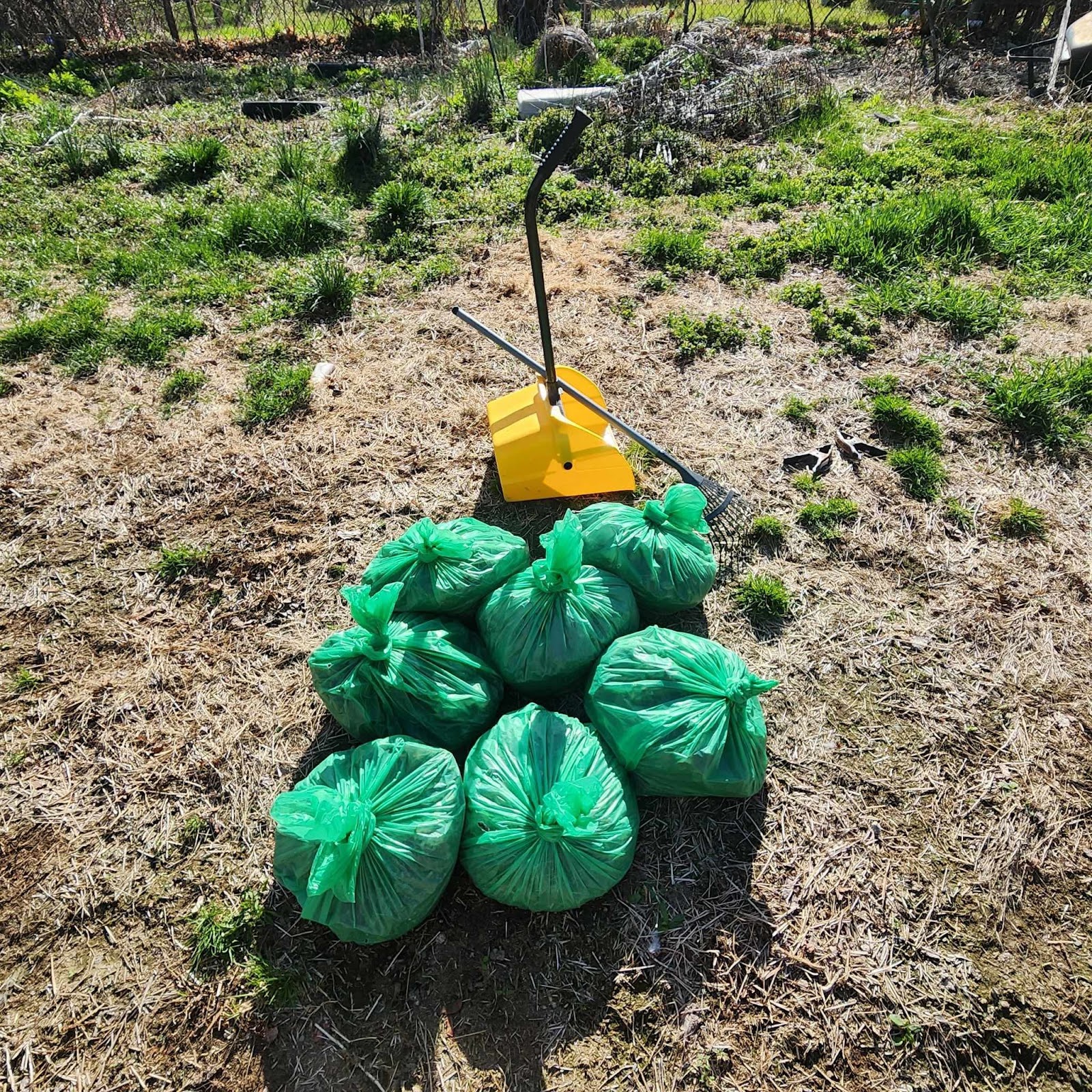 Doo Doo Extinguishers Dog Waste Removal - Photo 2