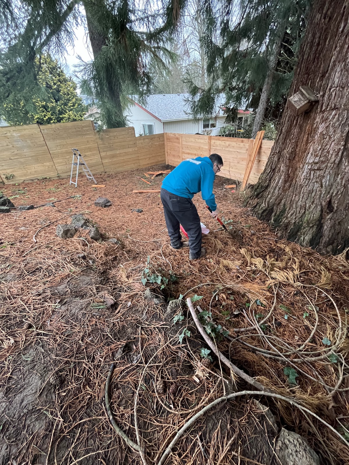 Rover Scoopers - Pet Waste Removal & Poop Scooping - Photo 3