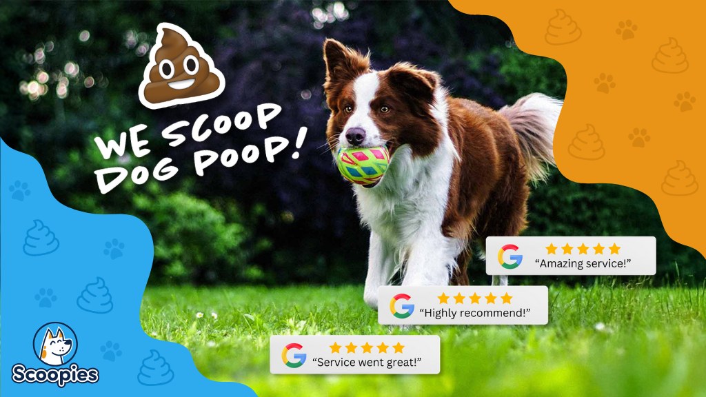 Scoopies Pet Waste Removal
