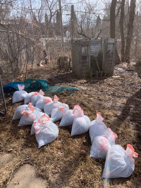 North Shore Pet Waste Removal