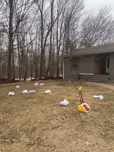 North Shore Pet Waste Removal - Photo 2