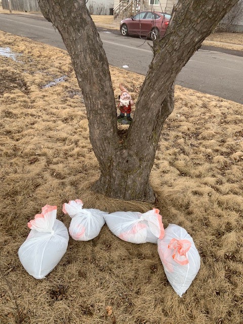 North Shore Pet Waste Removal - Photo 3