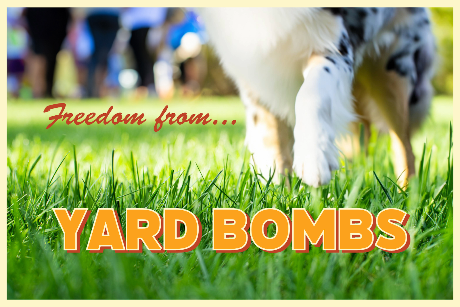 North Shore Pet Waste Removal - Photo 4