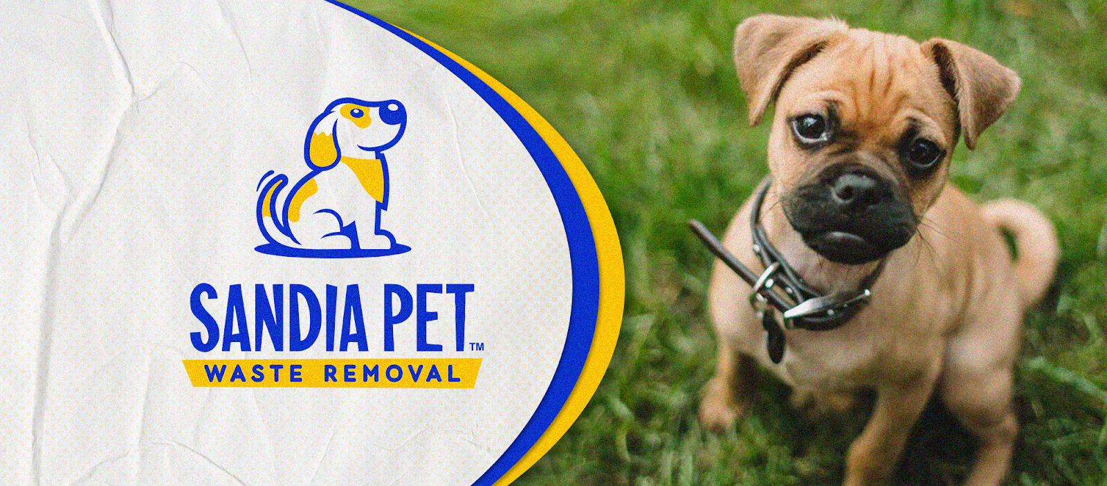 Easy Scoops - Pet Waste Removal