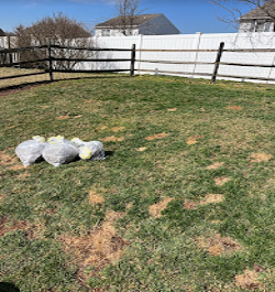 Poop Genie - Photo 2