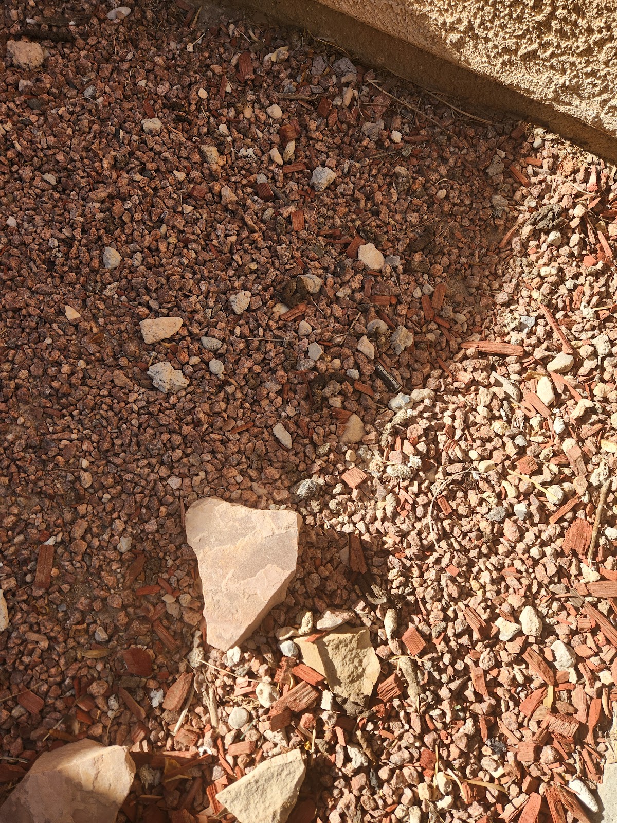 Kay's Poop Scoop - Photo 2