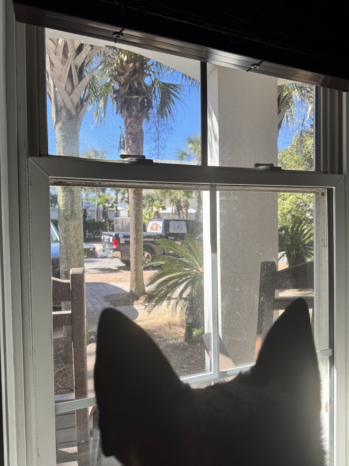 Poo Poo Crew - Photo 2