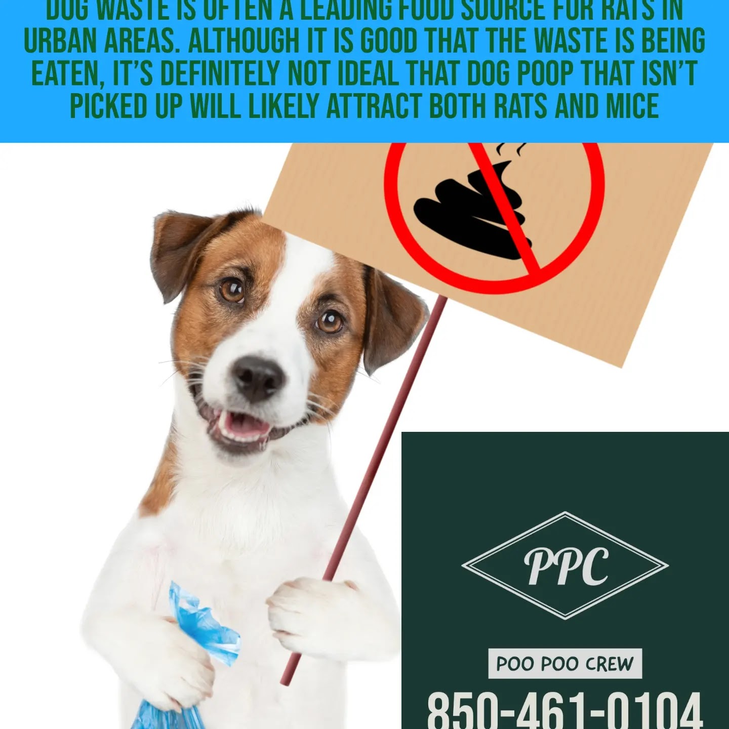 Poo Poo Crew - Photo 3