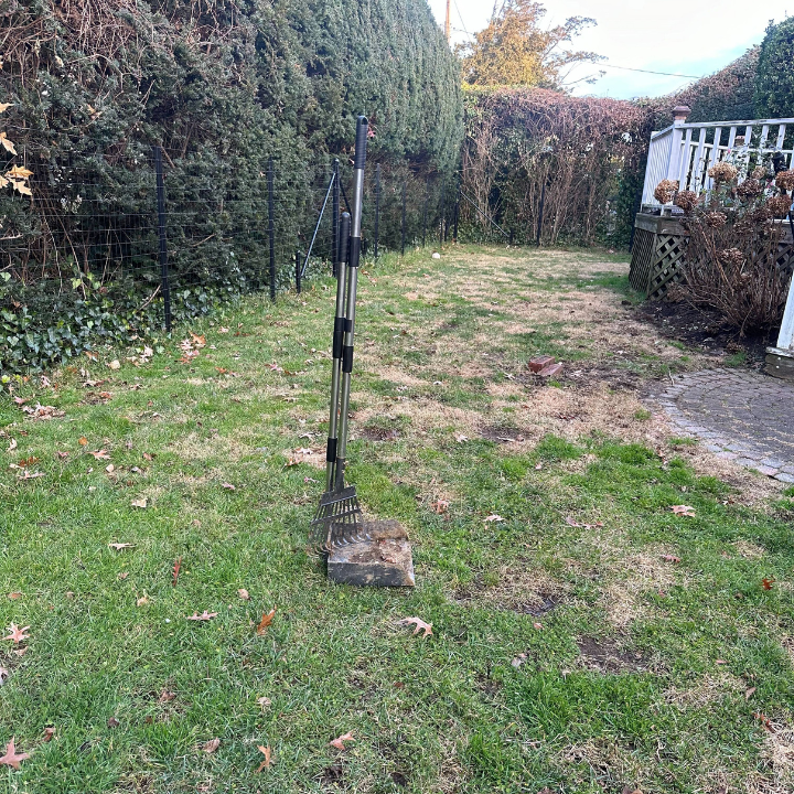 Poo Patrol - Dog & Pet Waste Removal Services - Photo 2