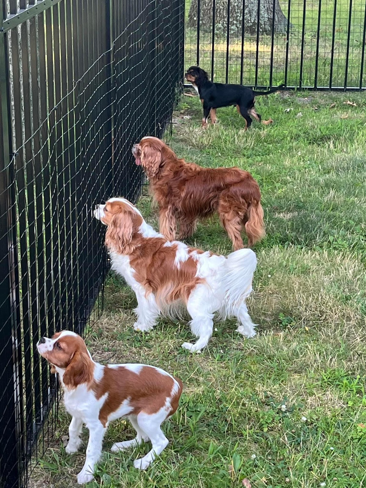 POOP 911 Jersey Shore - Photo 2