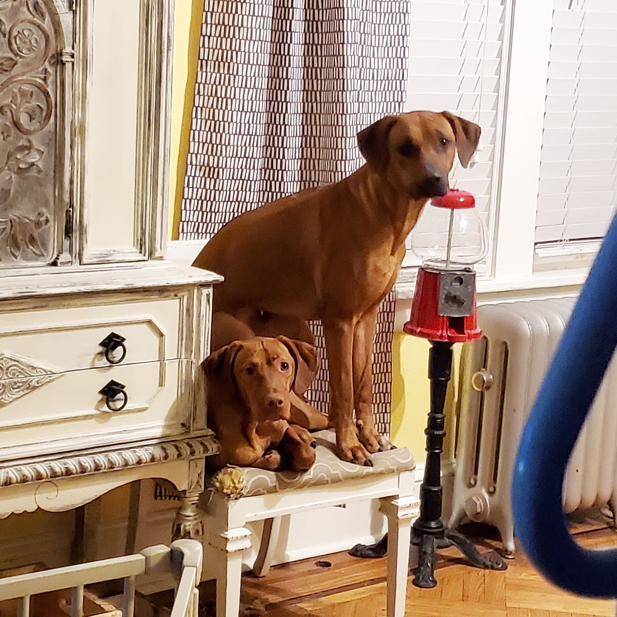 POOP 911 Jersey Shore - Photo 3