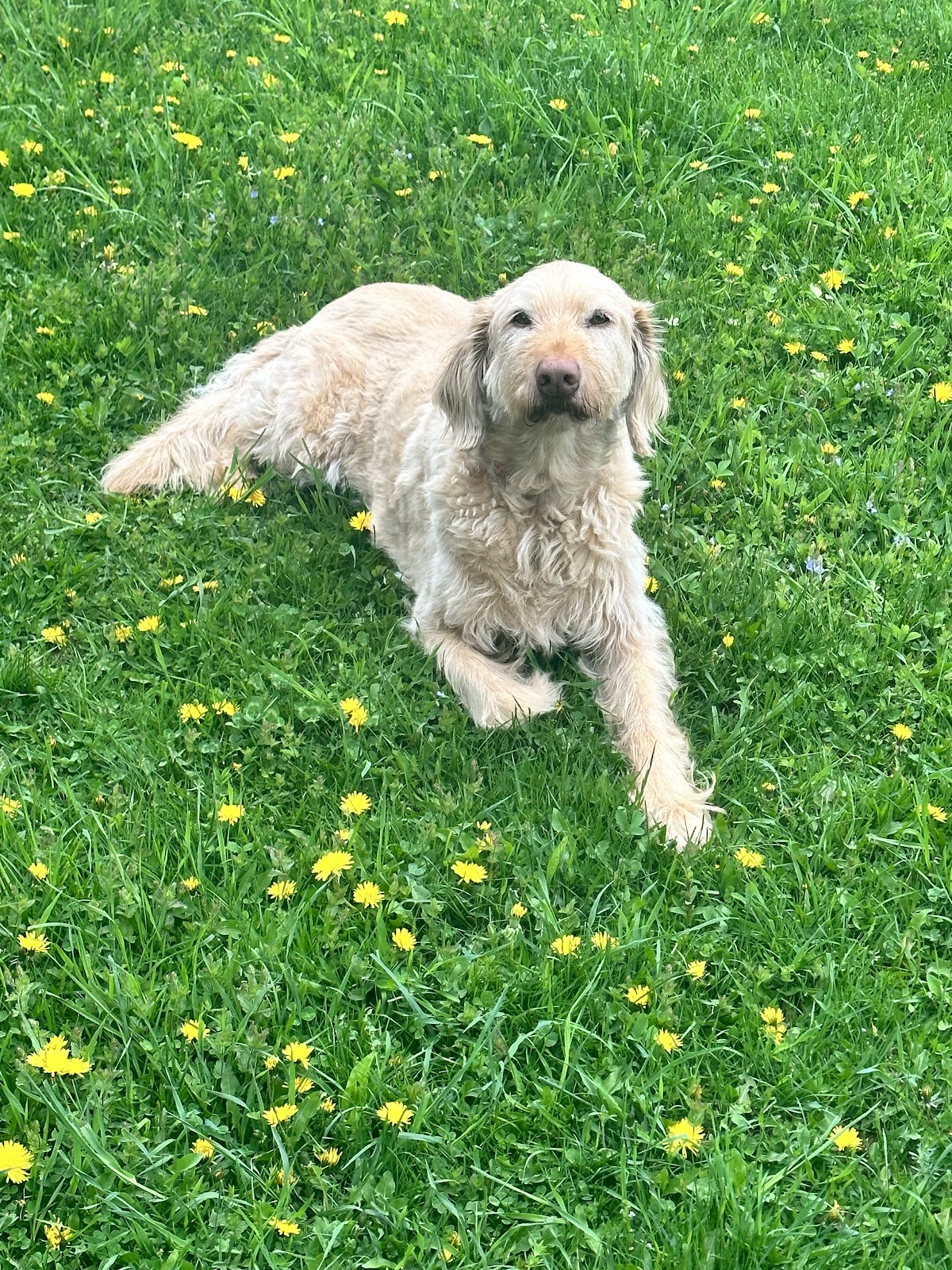 POOP 911 Jersey Shore - Photo 4