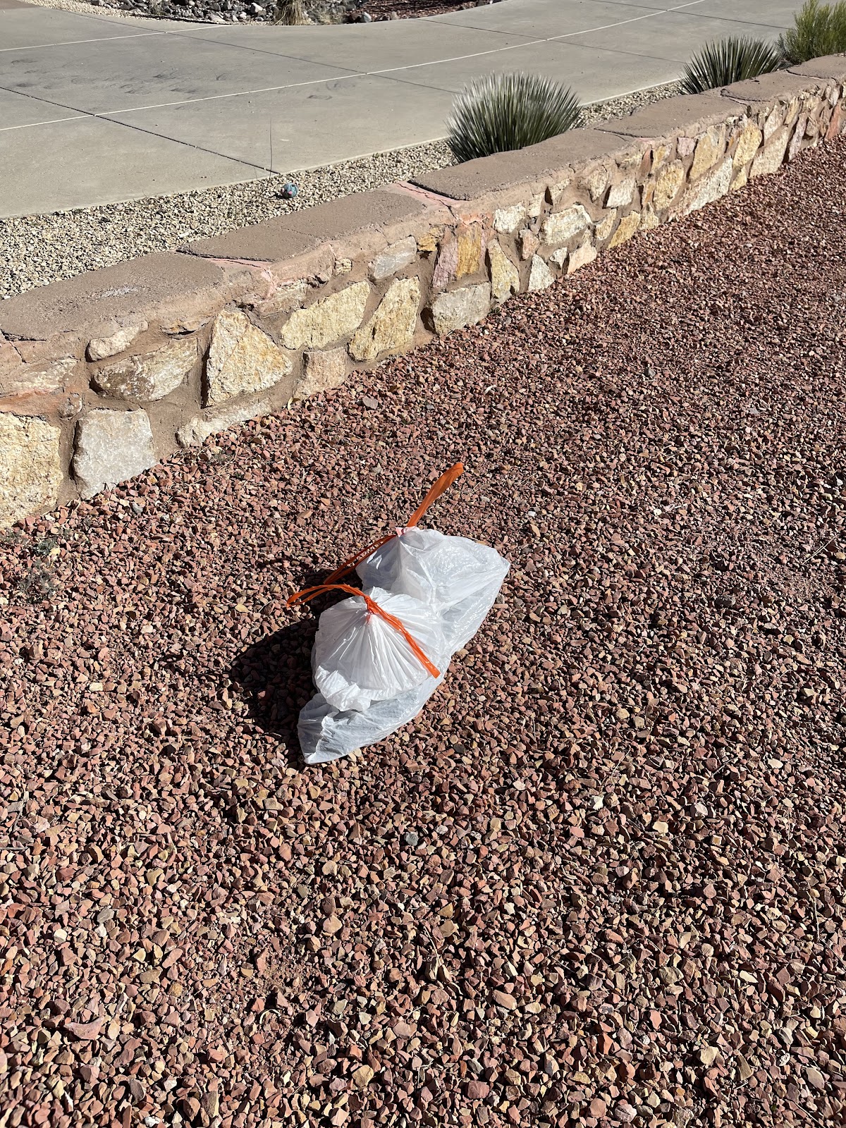 Cruces Scoopers - Photo 3