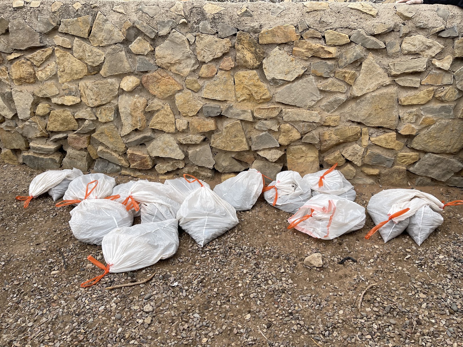 Cruces Scoopers - Photo 4