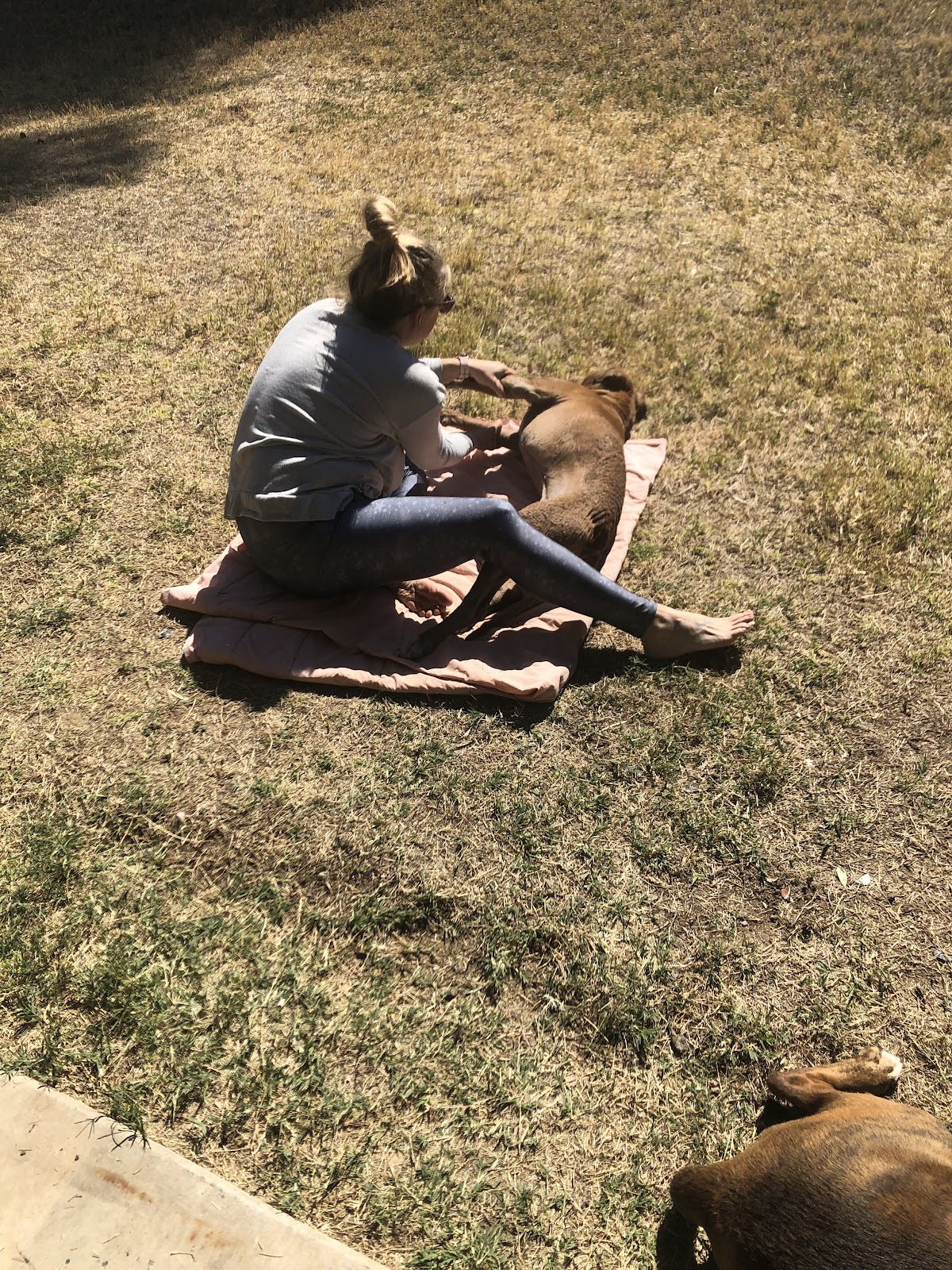 Tucson Pet Waste Solutions LLC - Photo 2