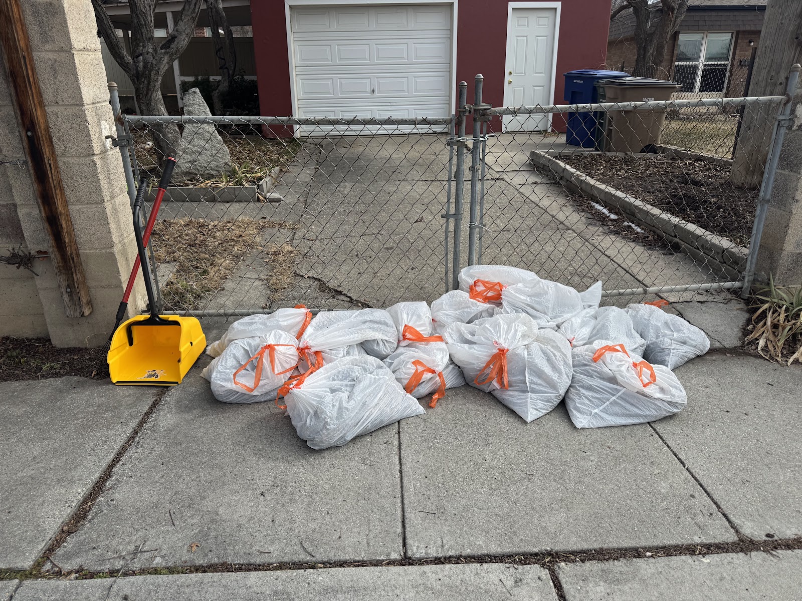 Pooch Scoops - Photo 2