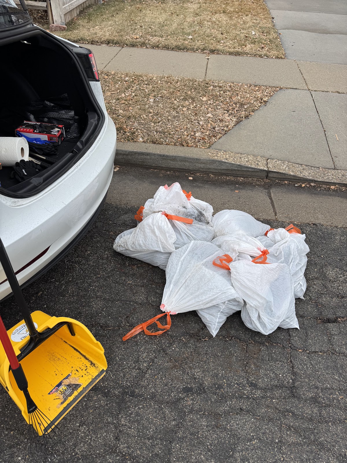 Pooch Scoops - Photo 4