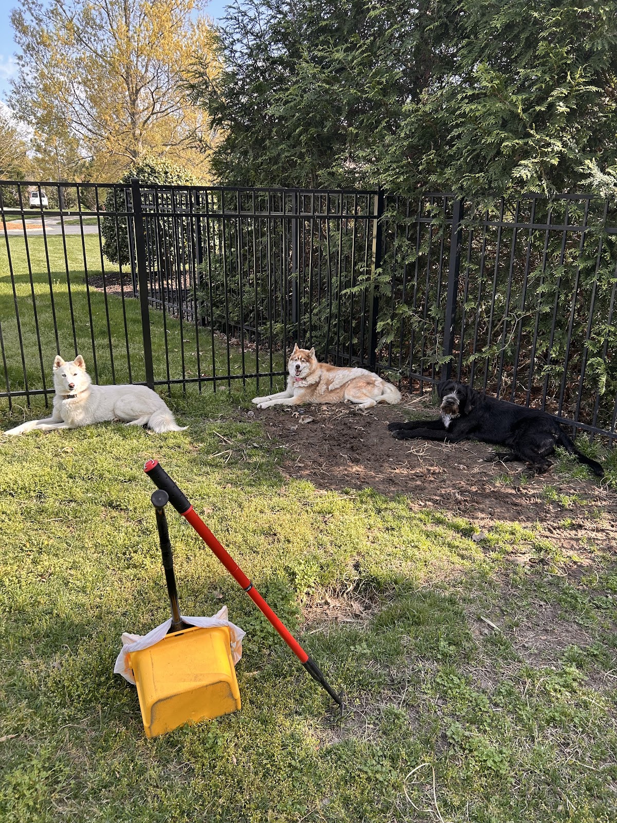 The Scoop Group - Photo 4